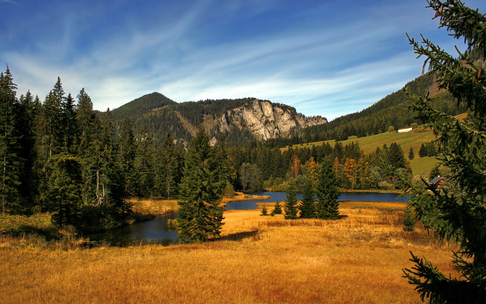 开云网页版登录入口-_凯尔特人稳扎稳打，领跑联盟积分榜_，凯尔特人战绩