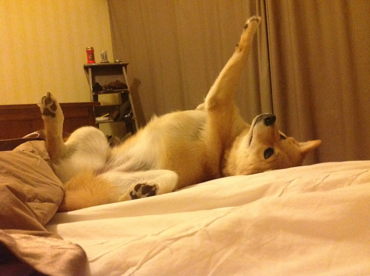 KAIYUN 中国大陆-“中超到场观众人数逐步回升”，中超现场观众人数统计