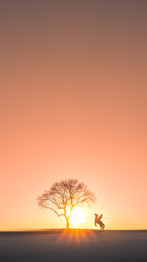 中国全民足球运动发展报告发布，行业持续健康发展，中国足球运动发展现状与分析