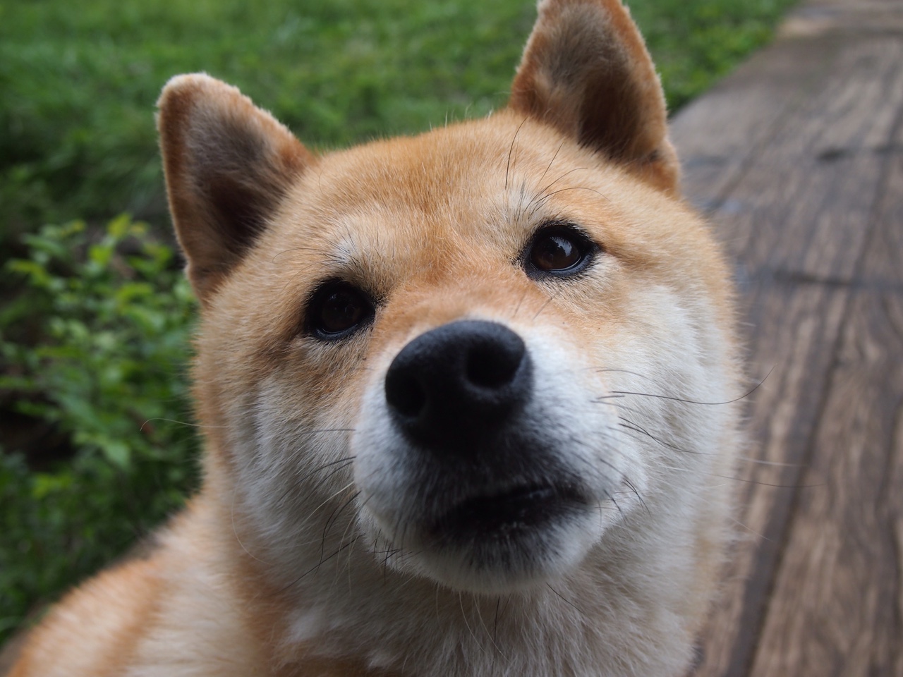 开云·体育官网APP下载-游戏美术的魅力：风格与细节的呈现，游戏美术风格主要有哪些点