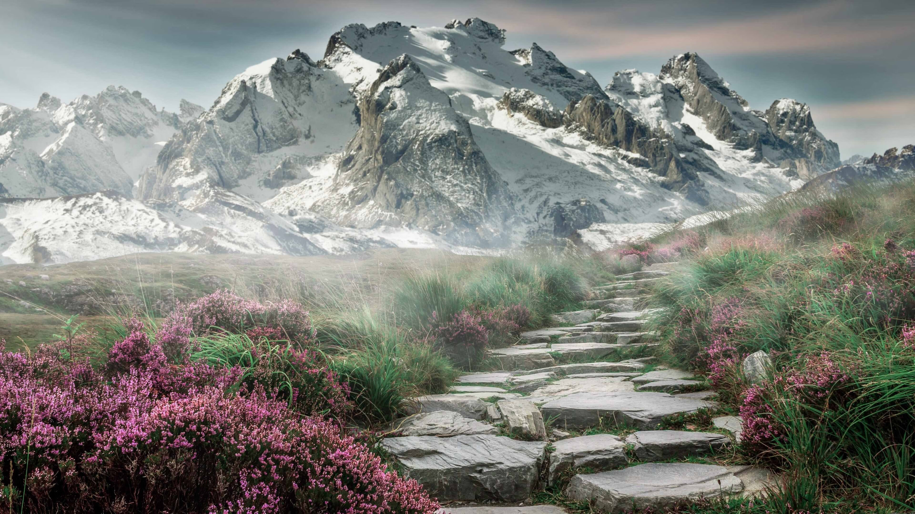 电子竞技融合体育,NBA新媒体布局曝光,nba 电竞