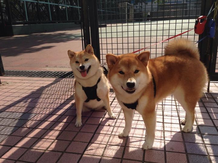 青少年“未来先锋”青训先锋榜在南京正式揭幕，青少年未来领袖训练营