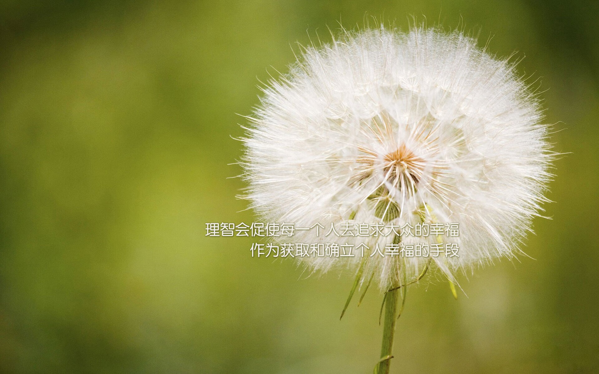 习近平接见第33届奥运会中国体育代表团,表彰运动员成绩