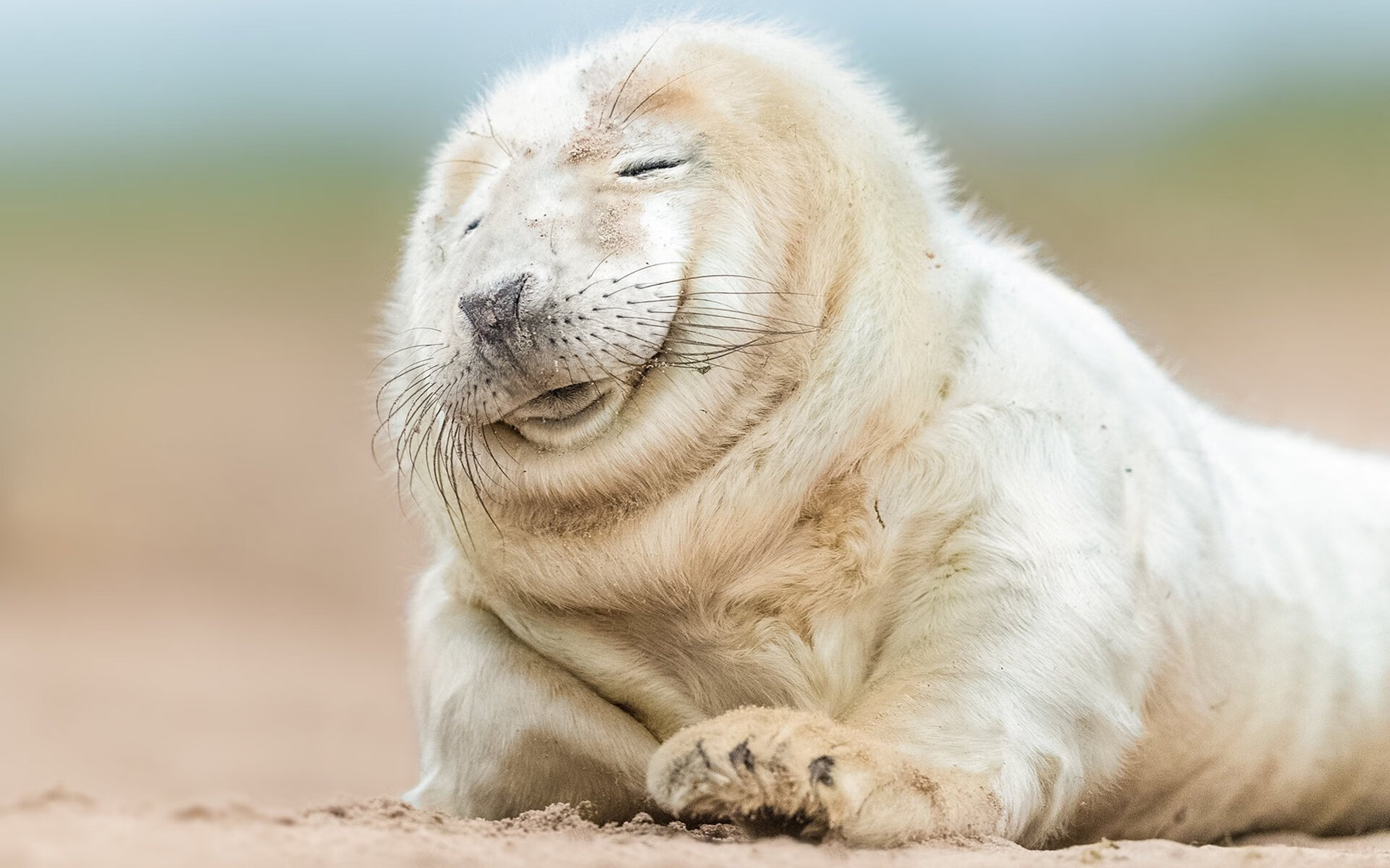 开云·Kaiyun网页版-大连男篮战胜对手，取得必要胜利，大连篮球队叫什么名字