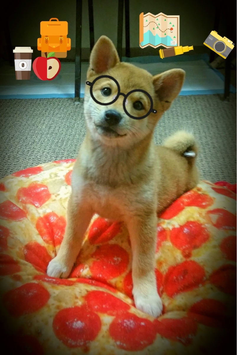 弗拉门戈季后赛席位稳固,弗拉门戈阵容2020