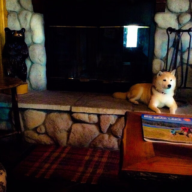 开云·Kaiyun网页版-拜仁慕尼黑平局多特蒙德领先两分，拜仁慕尼黑与多特蒙德