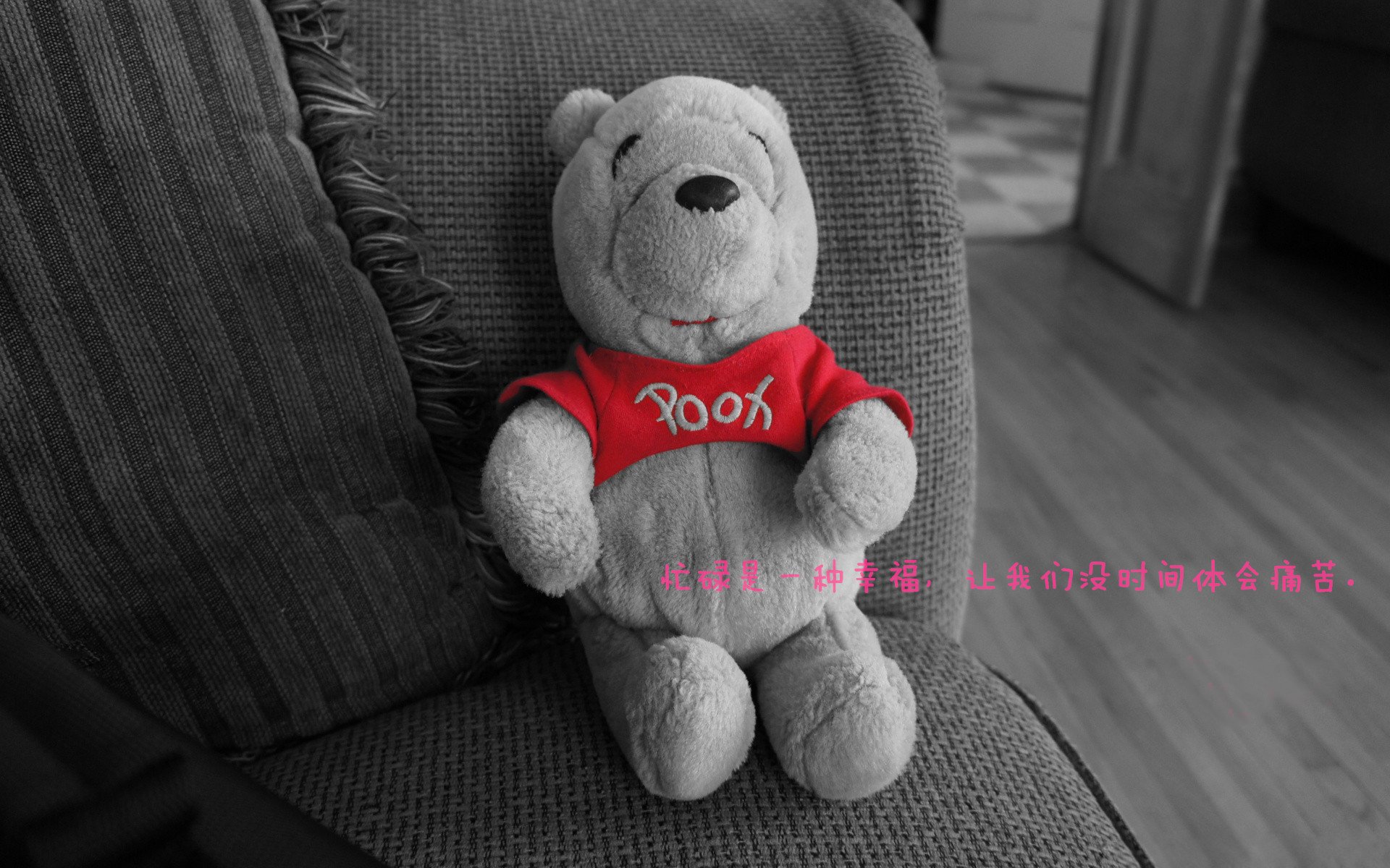 步行者全队发威大胜魔术，兰姆分领衔，步行者sumner