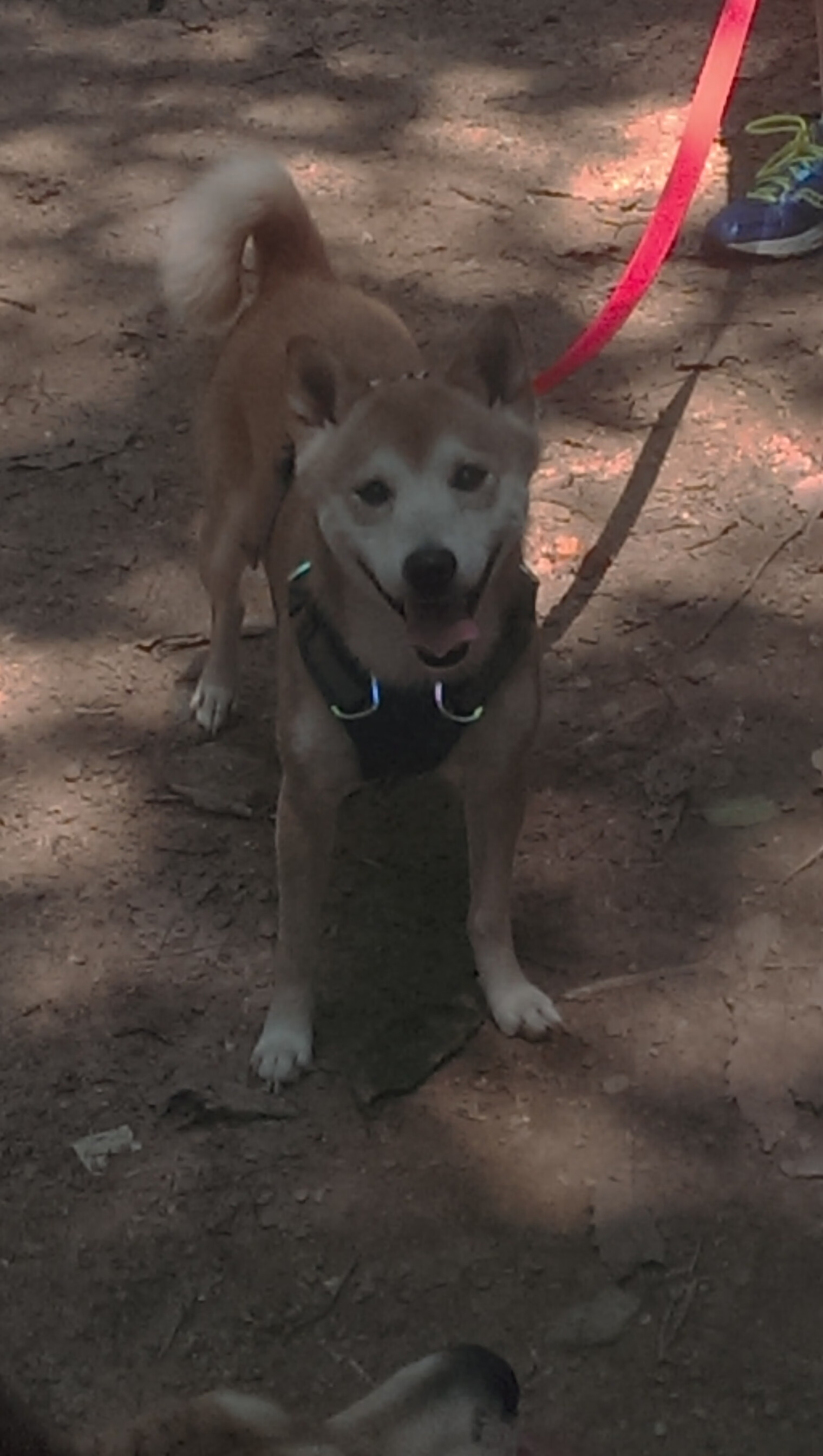 浙江队实力爆发，取得压倒性胜利，浙江队首发