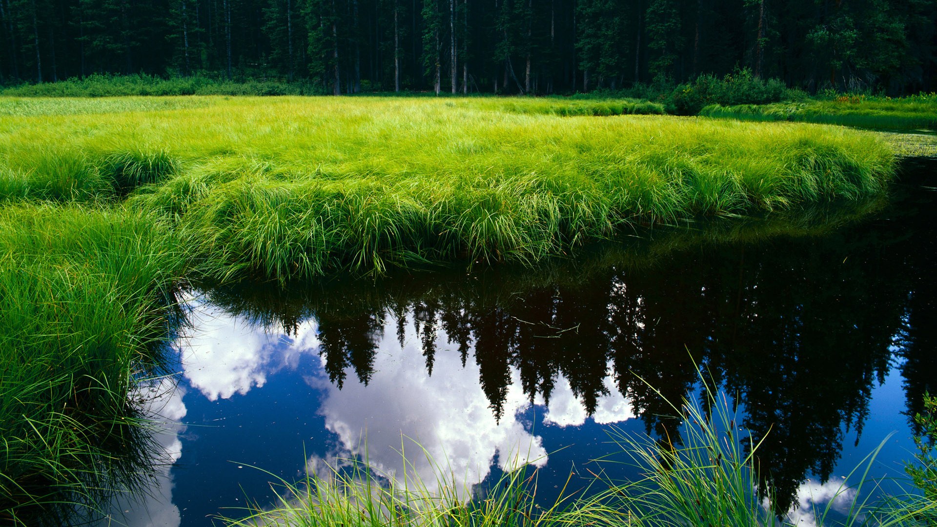 开云体育官方网入口-索尔斯克亚领军曼联，豪强再现辉煌，索尔斯克亚为曼联打进多少球