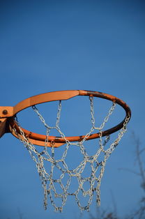 开云首页登录-NBA球员体能训练计划设计与效果评估，nba球员的体能训练