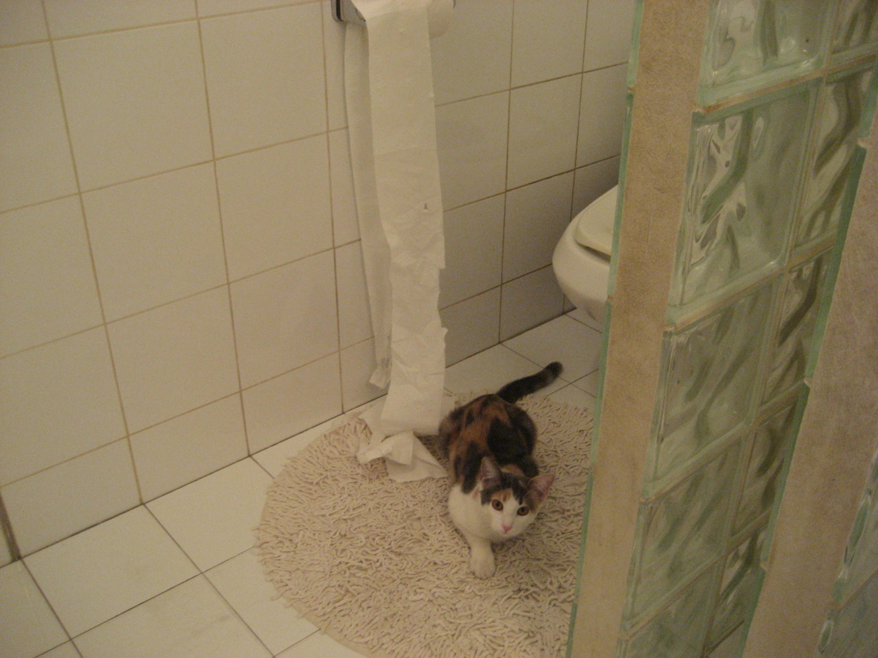 开云体育官方网入口-节奏提升是否会破坏球队既定战术结构，节奏能力