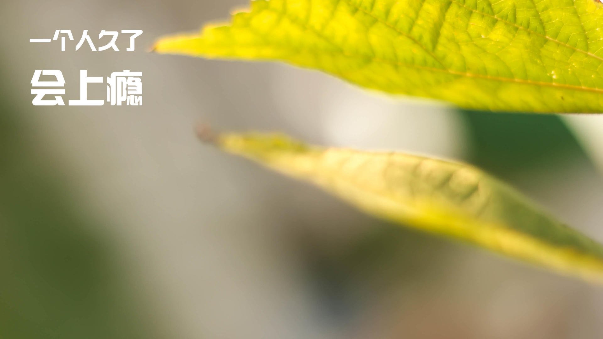 开云网页版-哈登表示愿意承担组织与得分双重责任，哈登合同有没有球员选项