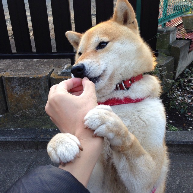 尤文图斯成功引援，中场实力大幅提升