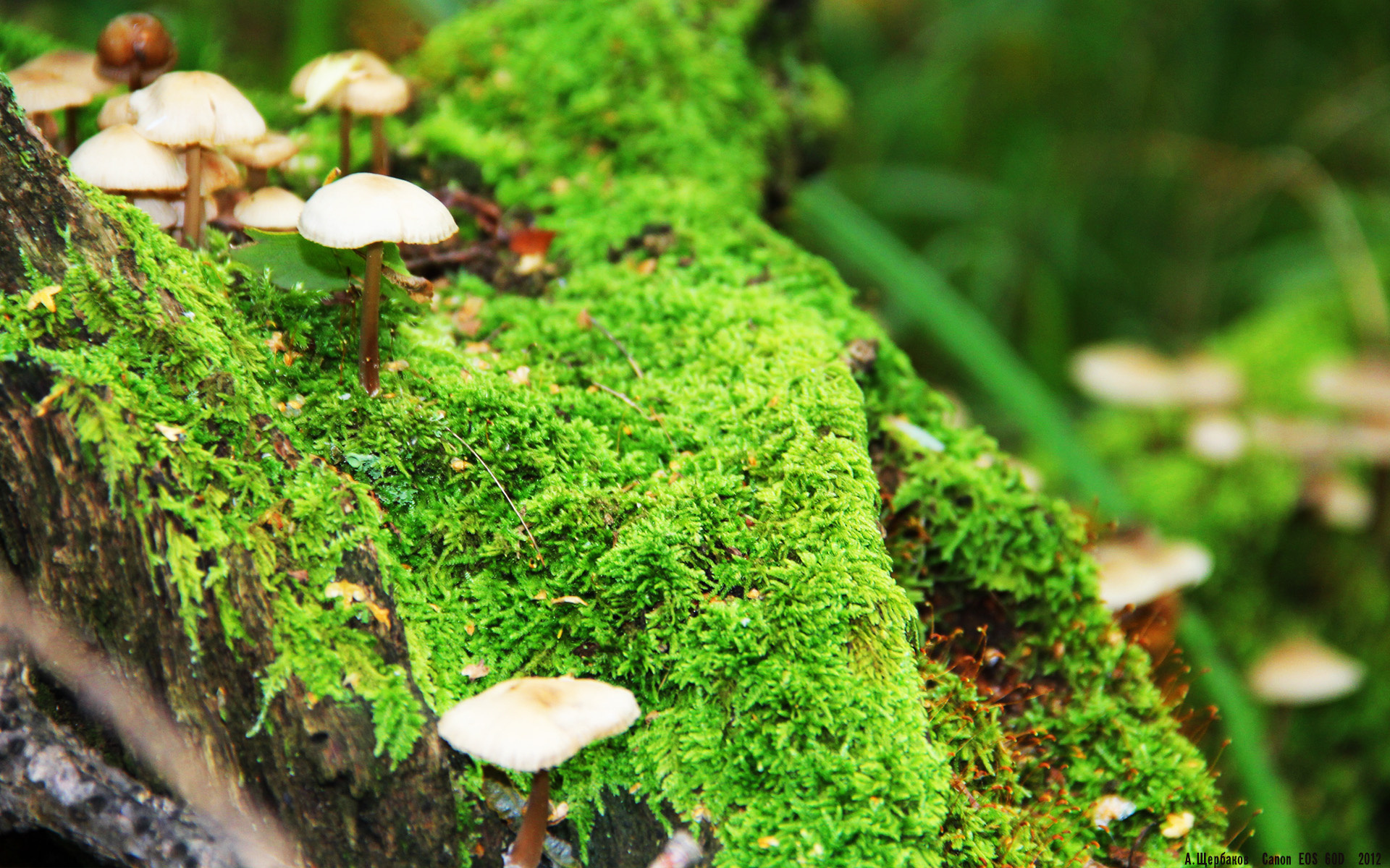 开云首页登录-球员穿着智能可穿戴设备，训练数据实时监控，业余足球智能穿戴装备